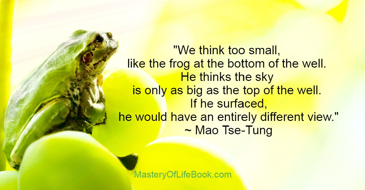 A Frogs Perspective Perspectives For Mastery Of Life